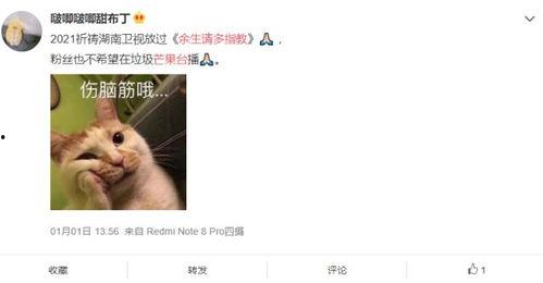 鹅厂最新爆料肖战杨紫,青春校园爱情故事引期待