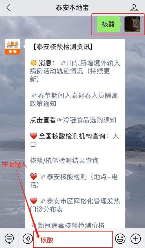 泰安核酸爆料事件视频,视频揭露惊人真相  第2张