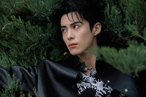 爆料娱乐圈王鹤棣是谁,王鹤棣的崛起之路 第3张 爆料娱乐圈王鹤棣是谁,王鹤棣的崛起之路 第3张